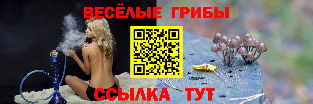 Шебекино  Галлюциногенные грибы мицелий  Вход с VPN 